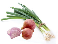shallots 01 - 230x173 shallots 01 - 230x173